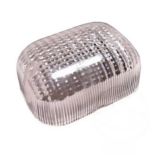 Blinkleuchte Glas hinten links