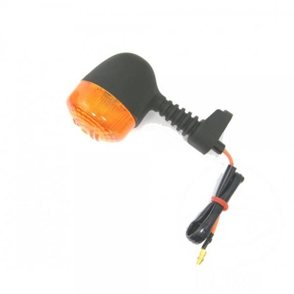 Blinker, Blinkleuchte, hinten links
