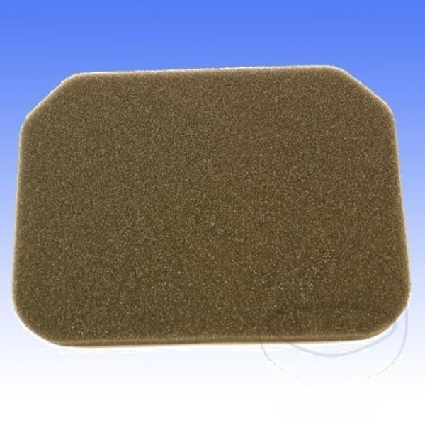 ATHENA Luftfilter S410510200010