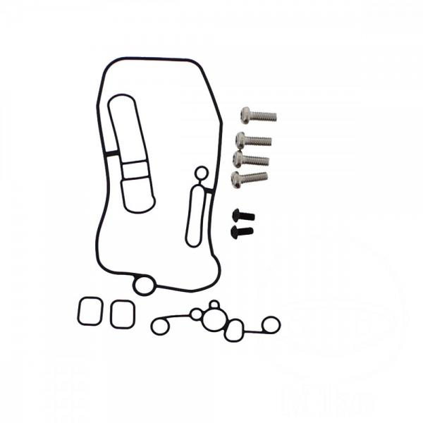 Vergaser Dichtungssatz, O-Ringe