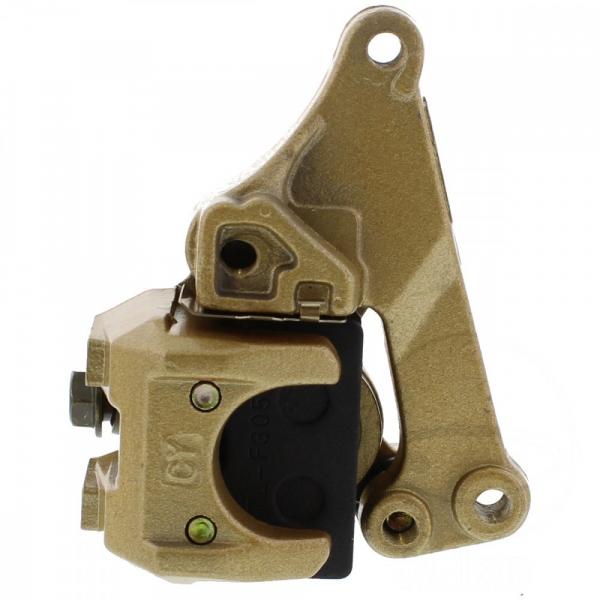 Bremssattel vorne gold