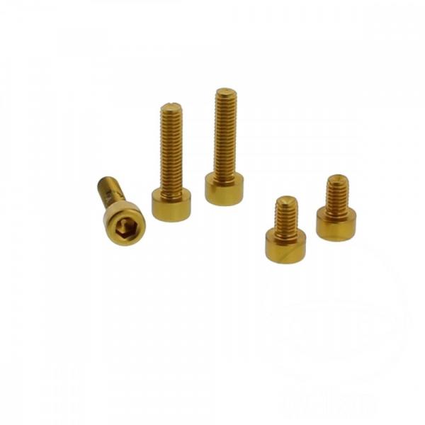 Schraube Tankdeckel Satz Alu gold