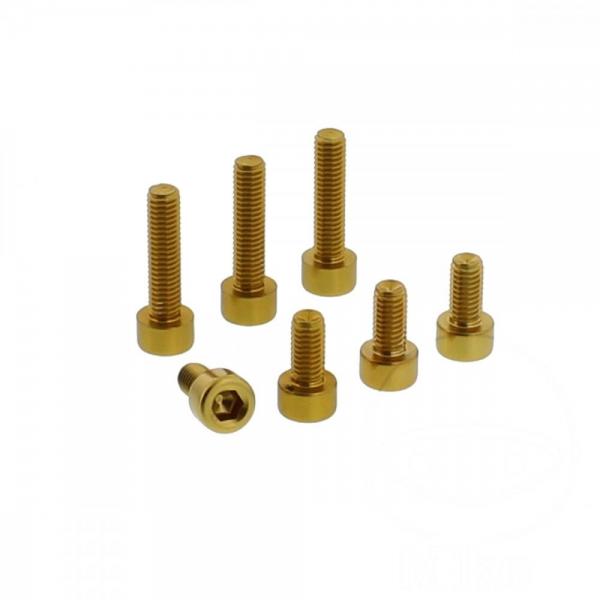 Schraube Tankdeckel Satz Alu gold