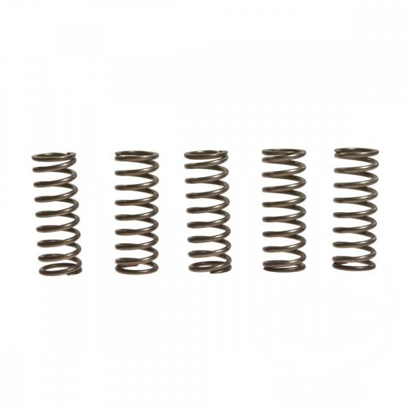 EBC Kupplungsfeder verstärkt (5Stk) EBC CSK156