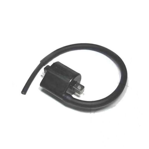Zündspule 12V hinten