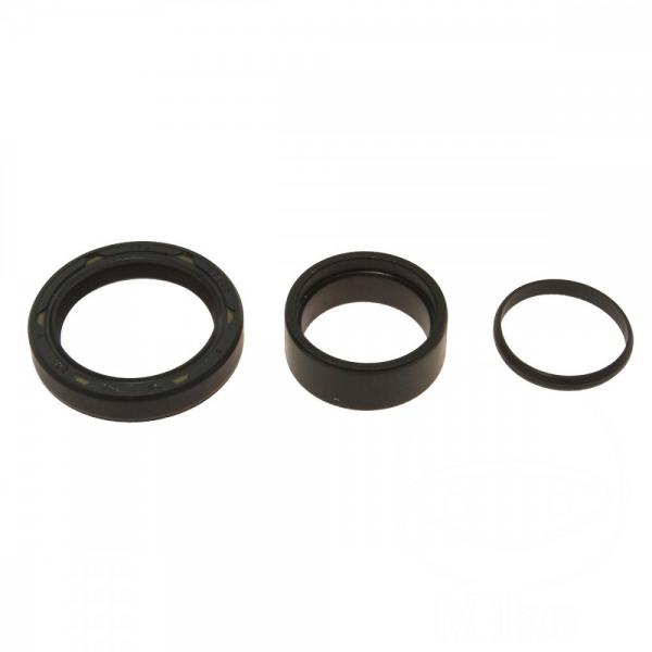 GetriebeAusgangswellendichtsatz Rep.-Satz All Balls 25-4009