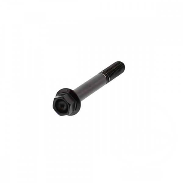6 Kant Schraube M6x1.00 45mm Edelstahl A4 schwarz