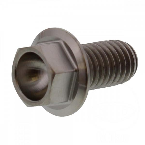 6 Kant Schraube M8x1.25 15mm Titan