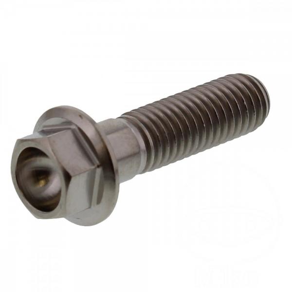 6 Kant Schraube M8x1.25 30mm Titan