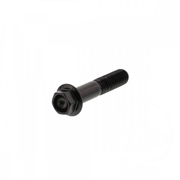 Kettenradschrauben, 6 Kant Schraube M8x1.25 40mm Edelstahl A4 schwarz