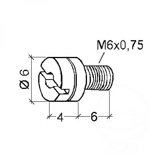 Hauptdüse Dellorto M6 Gr. 110