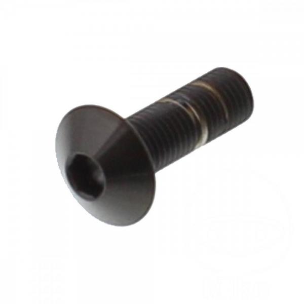 Linsenschraube M4x0.5 12mm Edelstahl A4 schwarz