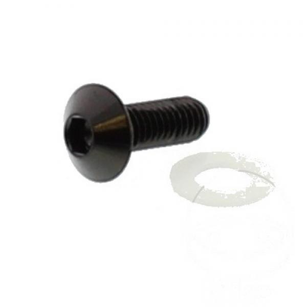 Linsenschraube M6x1.00 20mm Edelstahl A4 schwarz