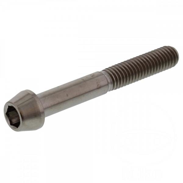 Zylinderschraube konisch M6x1.00 45mm Titan