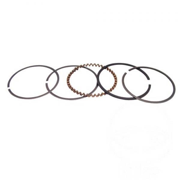 Kolbenring Satz standard