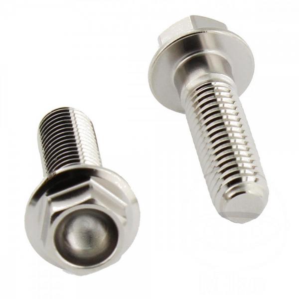 Bremssattelschraube Satz, hinten, Pro Bolt