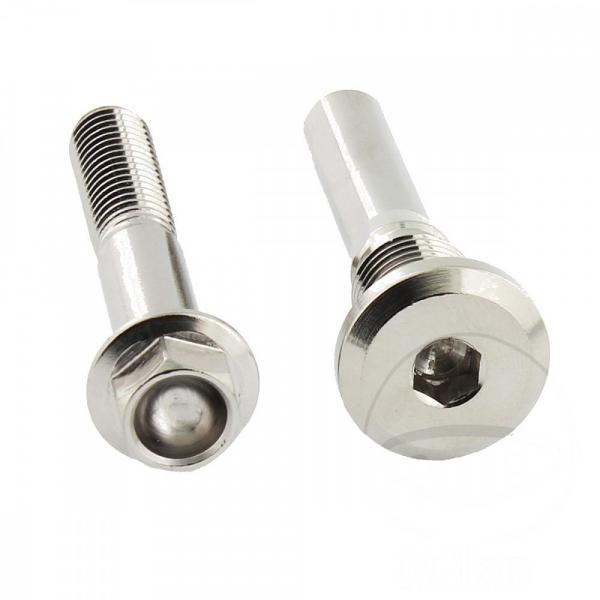 Bremssattelschraube hinten, Satz Pro Bolt