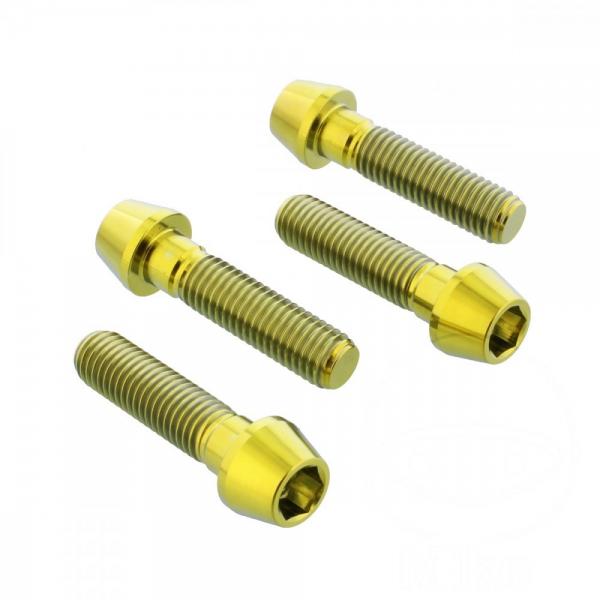 Bremssattelschraube Satz vorne Pro Bolt