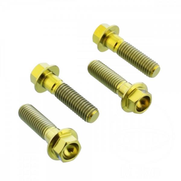 Bremssattelschraube Satz vorne Pro Bolt