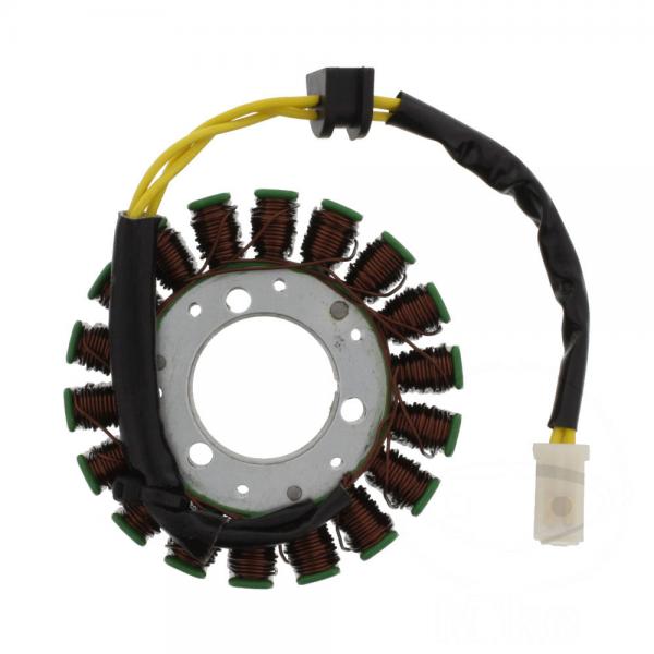 Lichtmaschine Stator