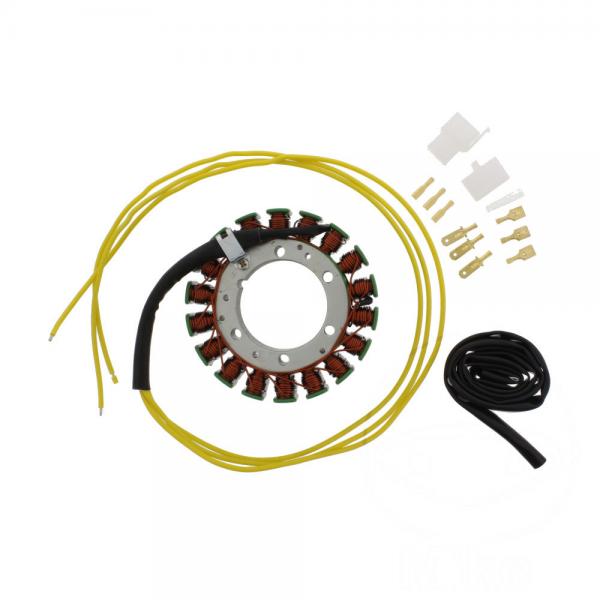 Lichtmaschine Stator