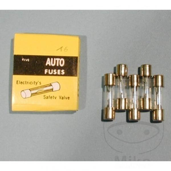 Glassicherung 25 mm 20A Inhalt 5 Stück