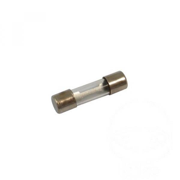 Glassicherung 25 mm 25A Inhalt 5 Stück