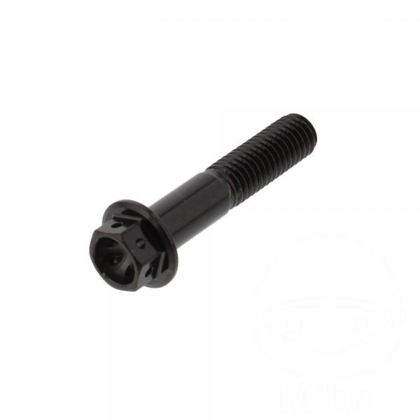 Schraube KLEMM Gabel Pro Bolt Edelstahl V4A Racing schwarz