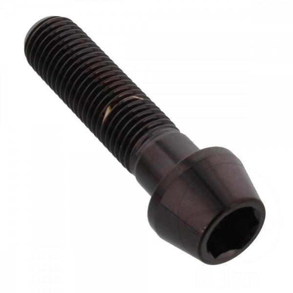 Schraube KLEMM Gabel Pro Bolt Edelstahl V4A schwarz