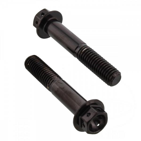 Schraube KLEMM Gabel Satz Pro Bolt Edelstahl V4A schwarz Racing