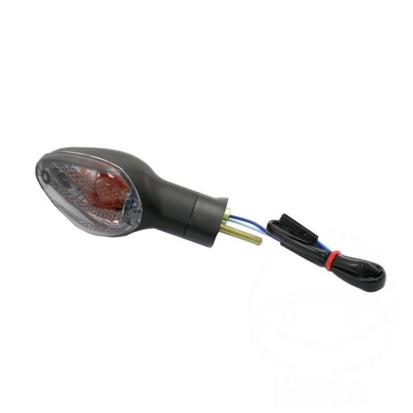 Blinkleuchte    hinten links