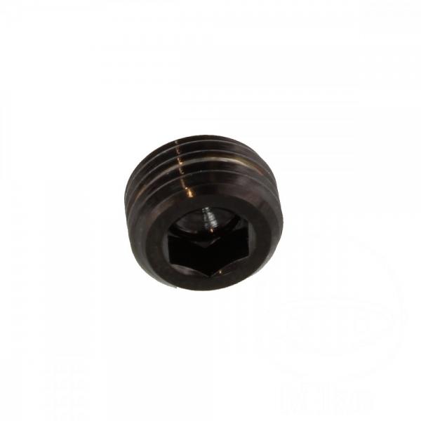Stopfen Gleitstift vorne  Pro Bolt Edelstahl V4A schwarz