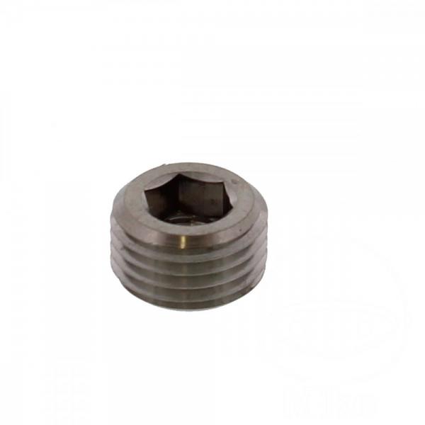 Stopfen Gleitstift Pro Bolt M10 x 1.00 mm Titan Bremse hinten