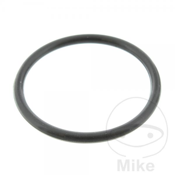 Ventildeckeldichtung O-Ring Originalersatzteil 862676