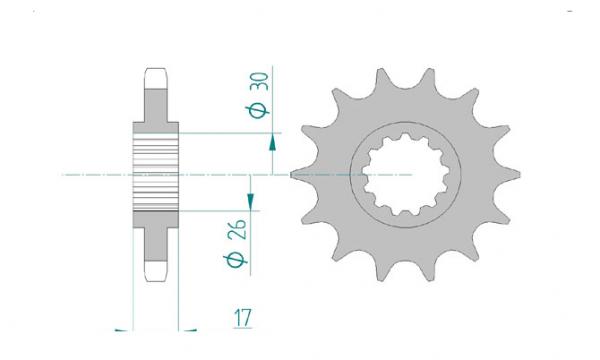 Antriebsritzel, Ritzel Teilung 530, 17 Zähne