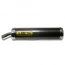 Schalldämpfer Arrow 51093SU Street Carbon