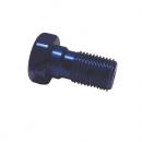 Hohlschraube kurz M10x1.25 blau