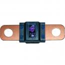 Sicherung MIDI 100A blau Packung 5