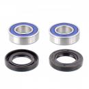 Radlager Satz Hinterrad komplett mit Simmerringen All Balls 25-1070