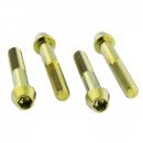 Bremssattelschraube Satz vorne Titan gold