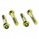 Bremssattelschraube Satz vorne Titan gold