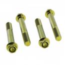 Bremssattelschraube Satz vorne Titan gold