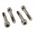 Bremssattelschraube Satz vorne Titan