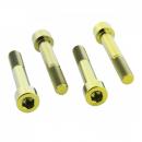 Bremssattelschraube Satz vorne Titan gold