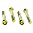 Bremssattelschraube Satz vorne Titan gold