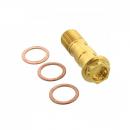 Hohlschraube doppelt Pro Bolt, M10 x 1.00MM Edelstahl A4 Racing gold