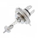 Lampe, Glühbirne HS1 12V 35/35W, PX43T NIGHT RACER 50