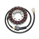 Lichtmaschine Stator