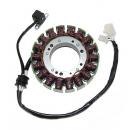 Lichtmaschine Stator