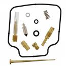 Vergaser Reparatursatz